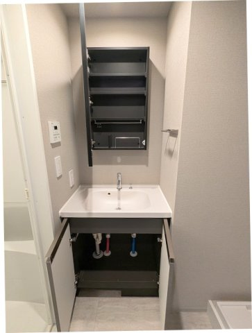 ニド元浅草の設備|トイレと独立した脱衣洗面室、洗面台の下にヘルスメーターストックスペースあります