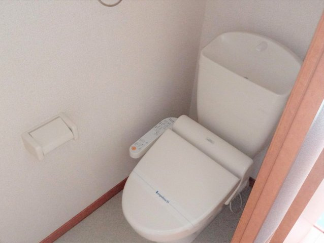 レオネクストルピナスのその他