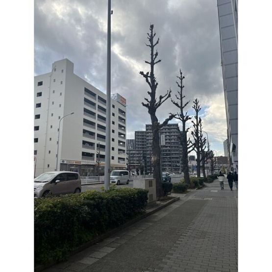 【展望】 | プロシード大須