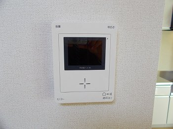 ウッドストックのセキュリティ