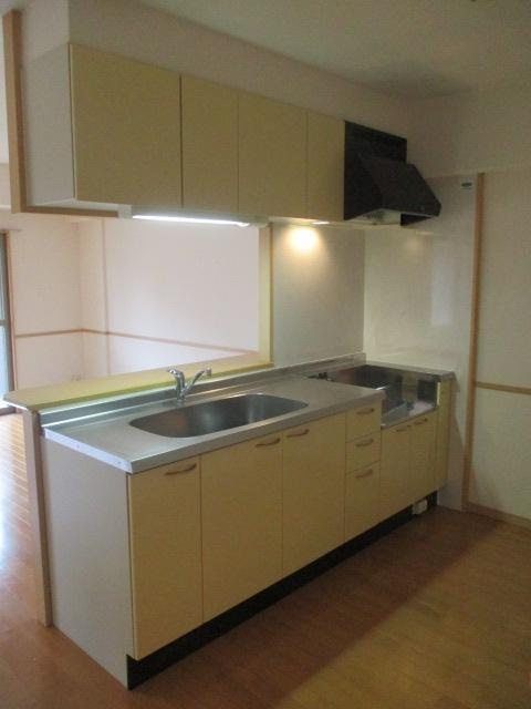 福岡市南区曰佐２丁目の賃貸マンションのキッチン|物件の画像4