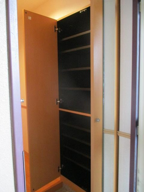 福岡市南区曰佐２丁目の賃貸マンションの収納|物件の画像6