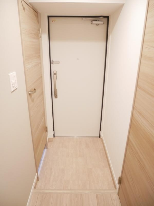 福岡市中央区大手門３丁目の賃貸マンションの玄関|物件の画像6