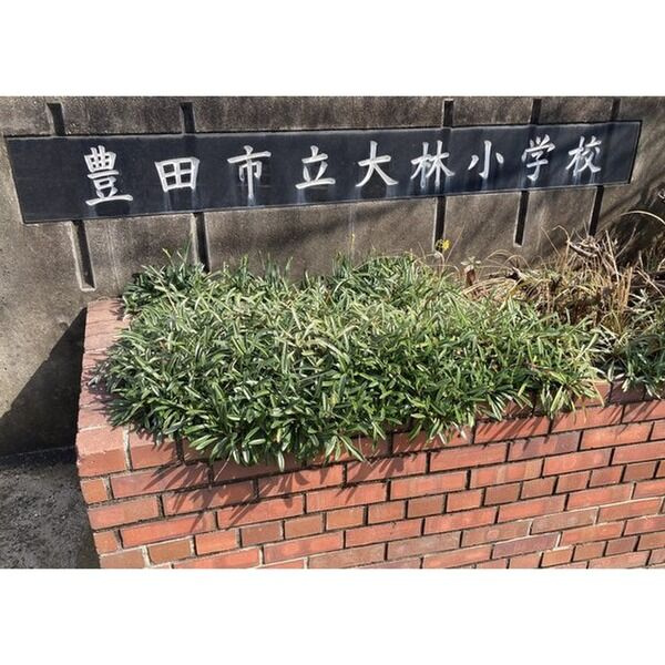 板倉ハイツの庭