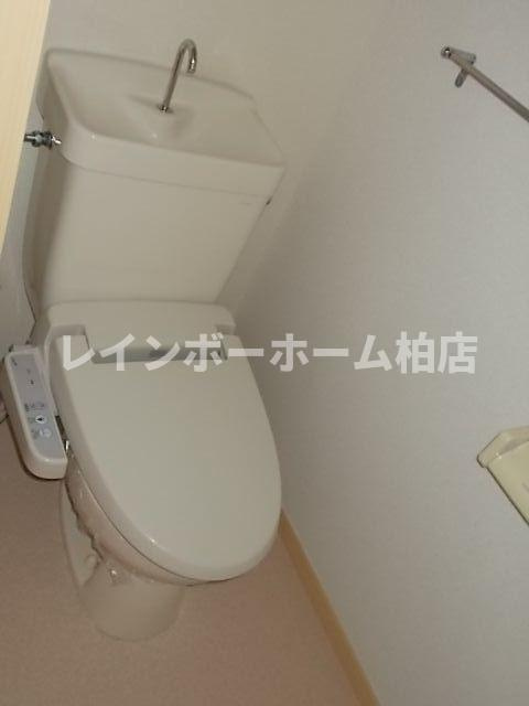 【仲介手数料：50％OFF】対象物件！のトイレ|温水洗浄便座です