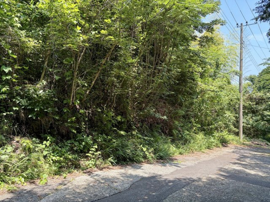 【外観】 | 大室高原別荘地　売地