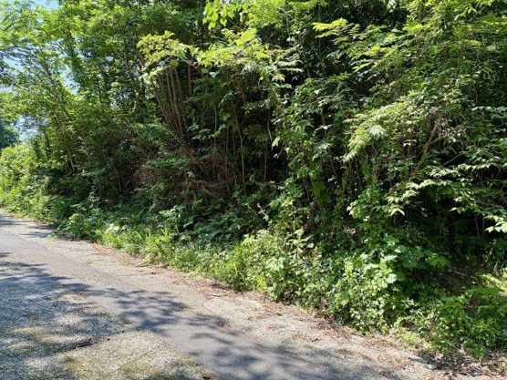 【外観】 | 大室高原別荘地　売地
