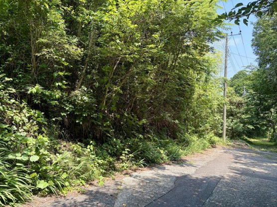 【前面道路含む現地写真】 | 大室高原別荘地　売地