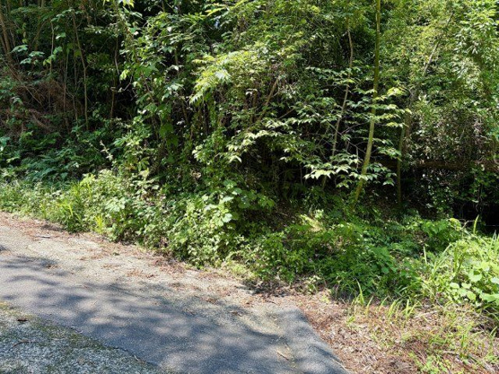 【外観】 | 大室高原別荘地　売地
