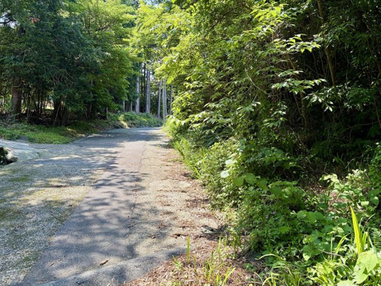 【周辺】 | 大室高原別荘地　売地