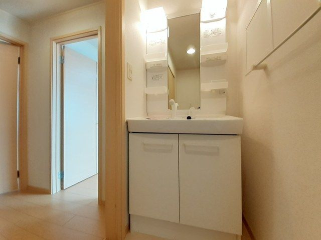 アユタシス南川の洗面所