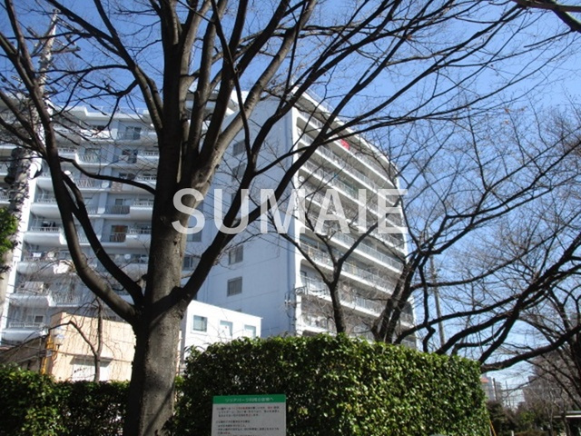 川口ハイツの外観|外観です！