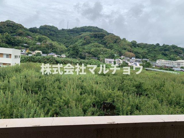 ハートフルタンポポ