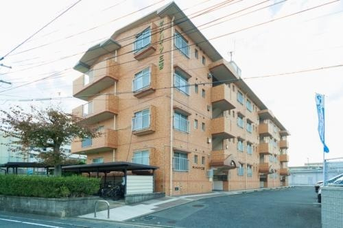 福岡市東区三苫４丁目の賃貸マンションの外観|外観写真