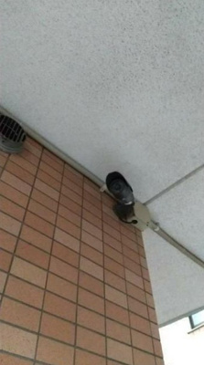 【設備】 | アクセス弥生