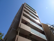 Centre Riziereの画像