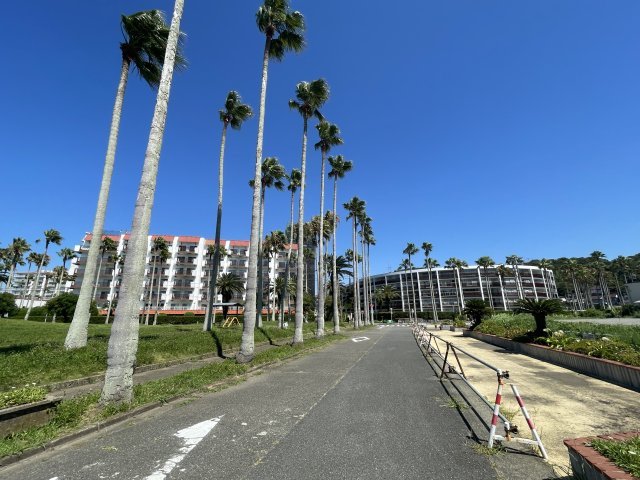 逗子マリーナ８号棟の周辺|小坪海浜公園側から見た現地方面の風景