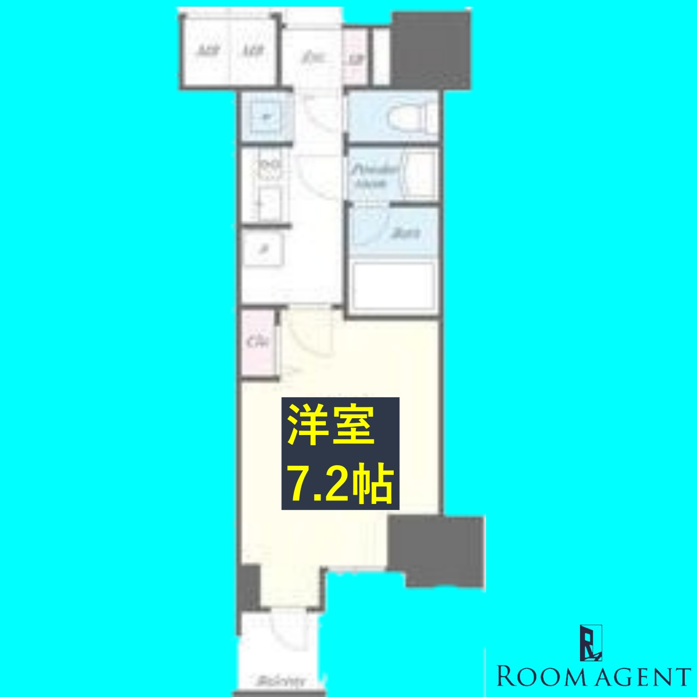 セイワパレス丸の内駅前プレミアの間取り