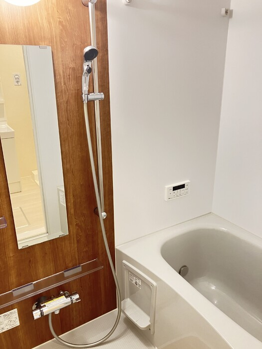 Ｄ－ｒｏｏｍ姉体Ⅱの浴室