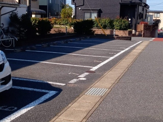 レオパレス来夢のその他