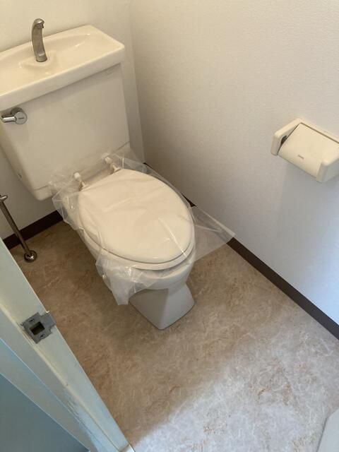 ドミール秀和のトイレ