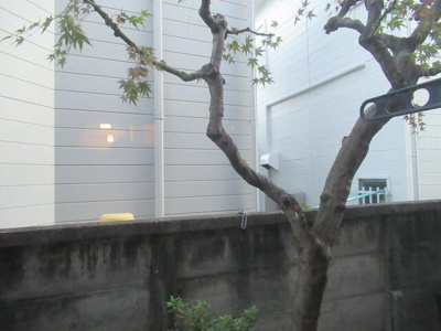 【展望】 | Ｃｒａｓｔｉｎａ下北沢