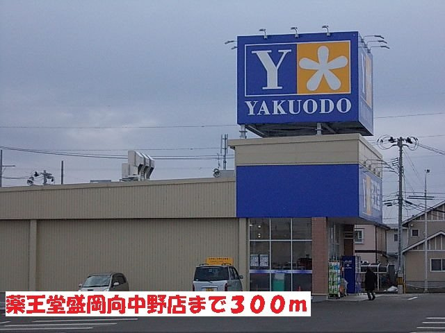 ルミエールⅠの周辺|薬王堂盛岡向中野店まで300m