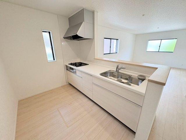 クワイエ　岐阜市青柳町第３　全１区画分譲のキッチン|お手入れがラクなステンレスをワークスペース部分トップに使用した、機能的で美しいシステムキッチンです。
浄水器組込み水栓でシンクまわりがスッキリ広々お使いいただけます。フラットな造りでお掃除も楽々です。