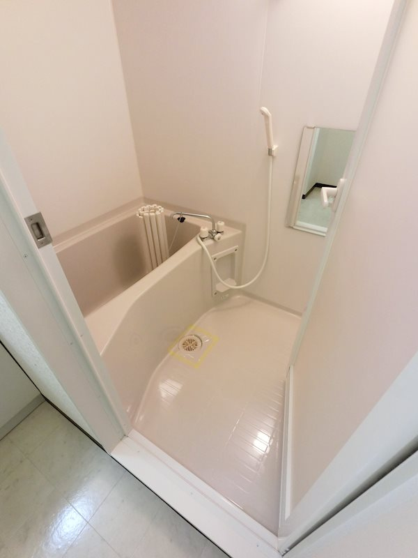 相模原市緑区二本松４丁目の賃貸マンションの浴室