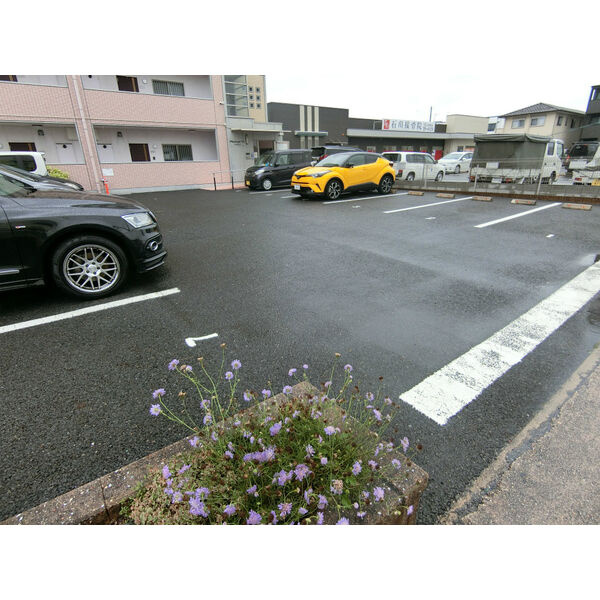 マカリイの駐車場
