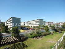 東新井団地 5号棟の画像