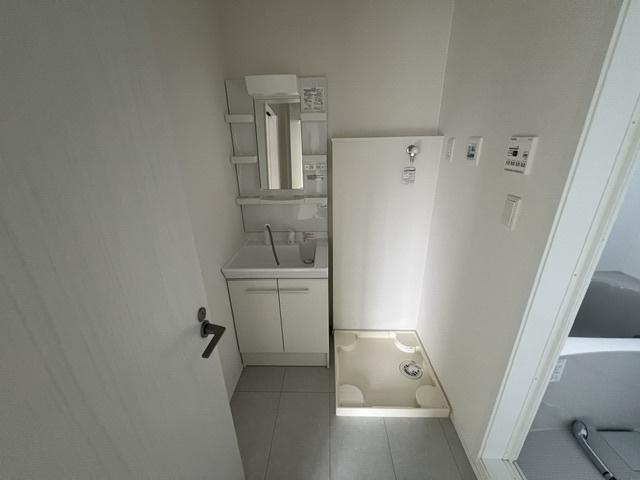 Casa　BlommaⅡの洗面所|朝の身支度が、少しだけ気分よくなる場所。
