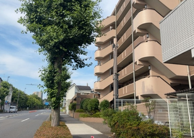 【外観】 | 東急ドエル・アルス多摩境 | マンションの外観は非常に重要なポイントです！外観の善し悪しは資産価値に大きな影響を与えます。外観のいいマンションを購入することで、高値で売却がしやすく、買い手が見つかりやすいというメリットがあります。