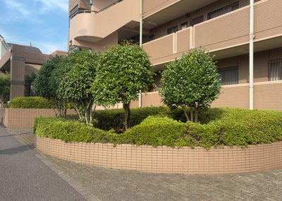 【中庭】 | 東急ドエル・アルス多摩境 | 中庭（パティオ）とは、一つの建築物の内部に設けられた、壁などで囲われている庭のことを指します。コの字型、ロの字型が主流ですが、L字型の中庭もあります。最近では、インテリア性の高さからも人気があります。