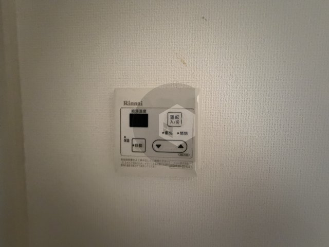 プレシャス1のその他