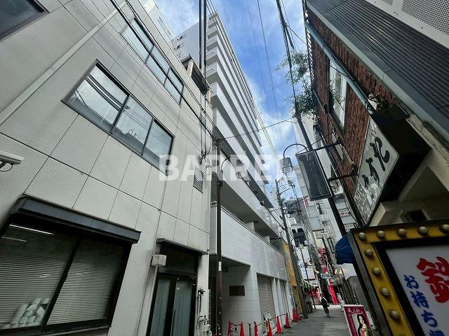 大幸ロイヤルA-5の外観