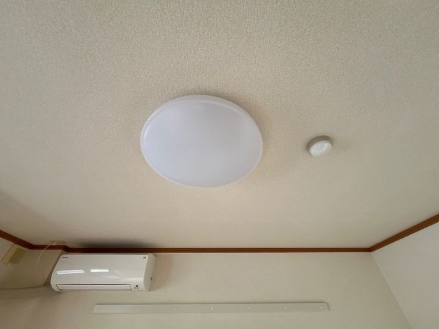 ブルーダイヤモンド