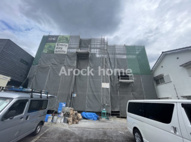 ロビニア若草の画像