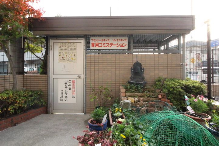 プランドールキノミ