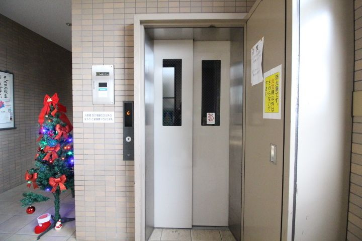 プランドールキノミ
