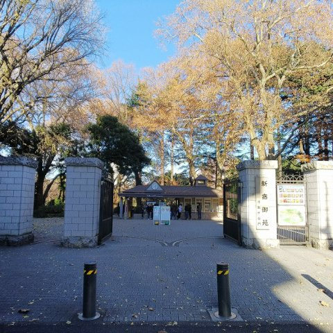 グランドコンシェルジュ千駄ヶ谷の周辺|新宿御苑（千駄ヶ谷門） 226m