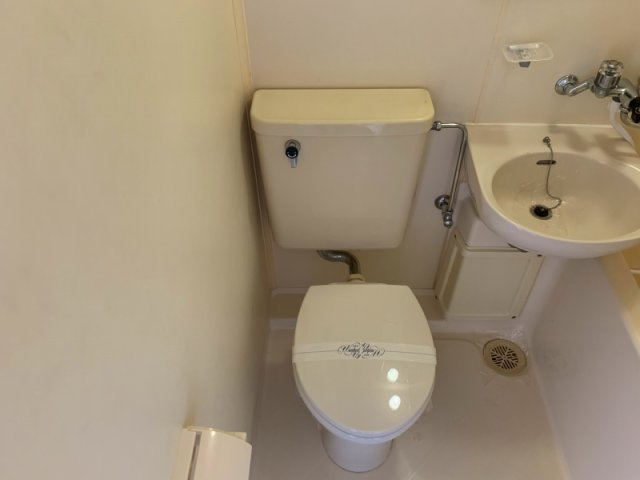 アクセルフラッツのトイレ