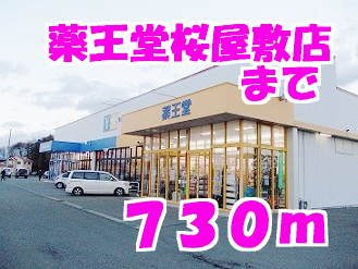 ラ・パヴァーヌＡの周辺|薬王堂まで730m