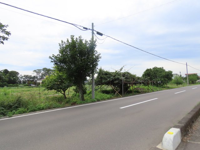 川越市天沼新田売地の展望