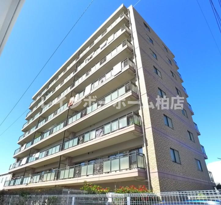 【仲介手数料：50％OFF】対象物件！の外観|外観もきれいです