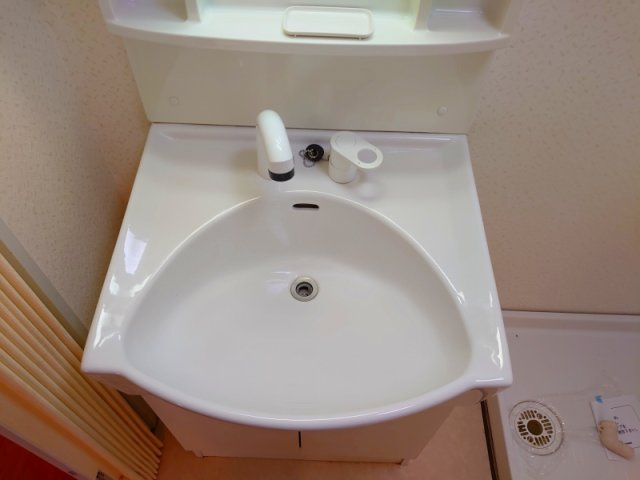 アビタシオン西緑丘の洗面所