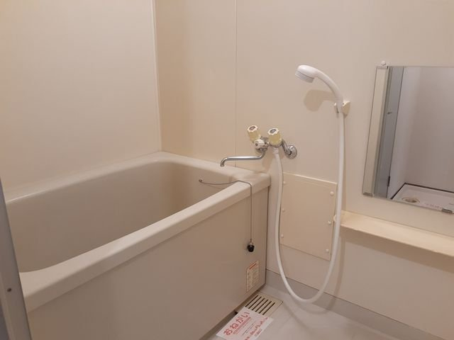 アクティブもうぎの浴室