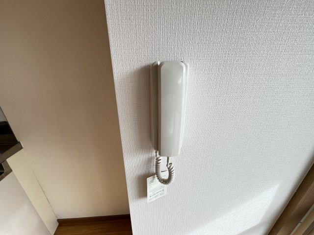 カーザ・ヴェルデのセキュリティ