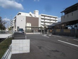 クレイノラ　グラシューズ　Ｍのその他