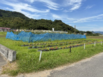 霧島市隼人町内山田の画像